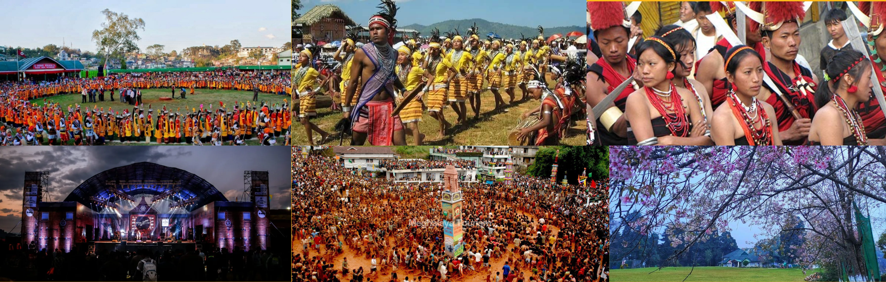 Autumn Festival